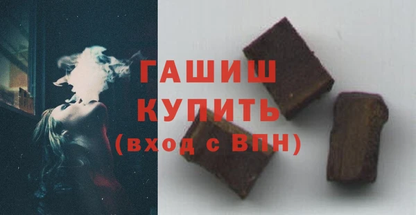 ECSTASY Богданович